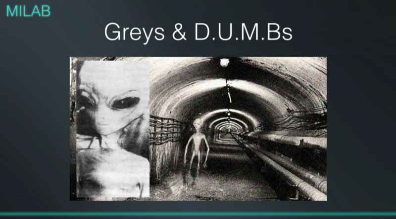 5 Greys And DUMBS